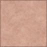 Human Skin with Hair