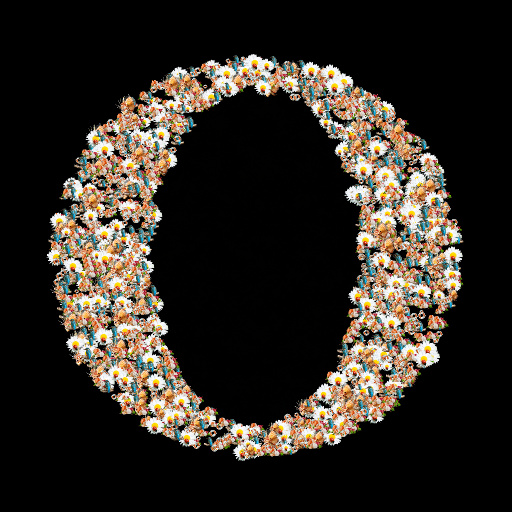 Variation 1