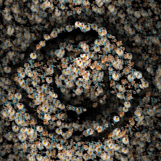 Variation 2