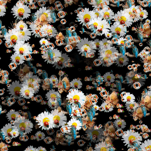 Variation 3