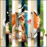 Images Bands Collage Simple