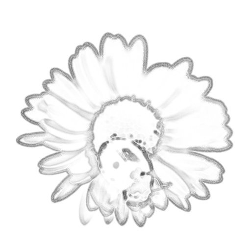 Ambient Occlusion Map