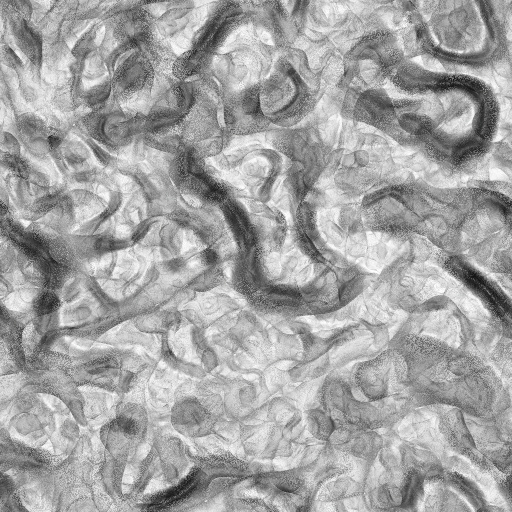 Ambient Occlusion Map