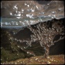 3D engraved painting