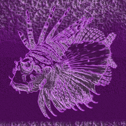 Variation 8