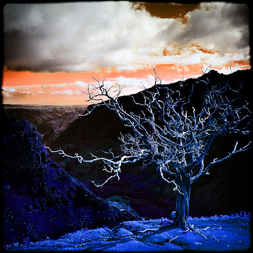 Variation 1