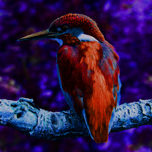 Variation 2