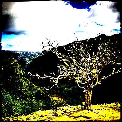 Variation 6