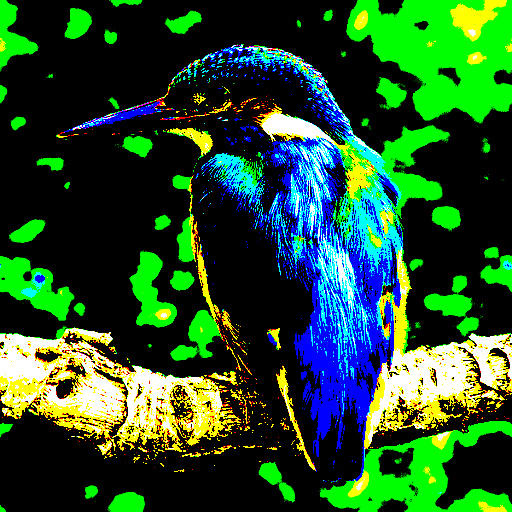 Variation 8