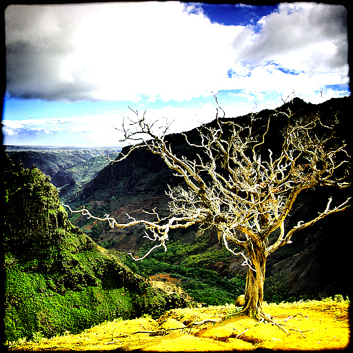 Photo Enchancements (Effect)