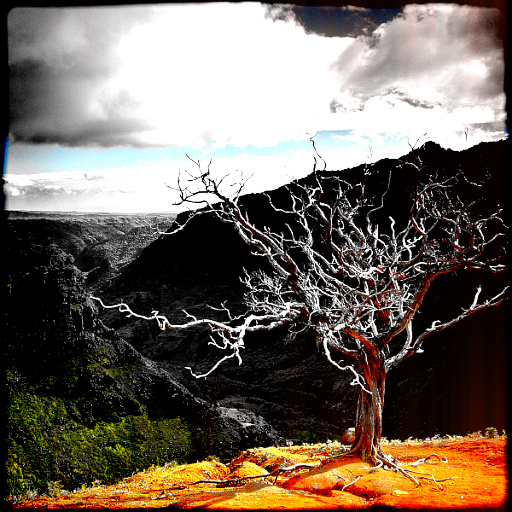 Color-blast (Effect)