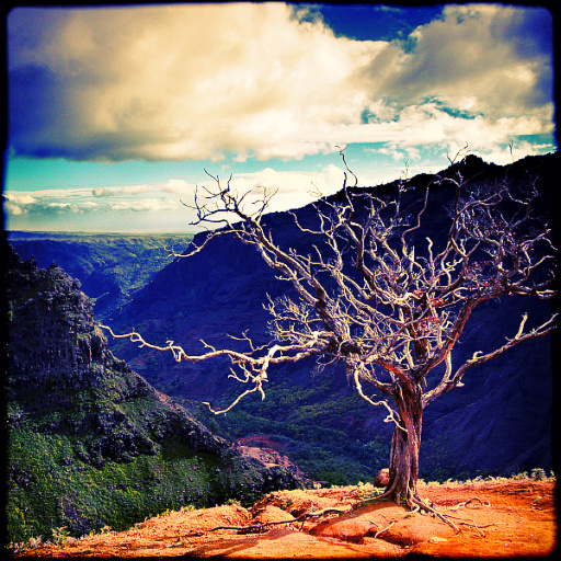 xPro (Effect)