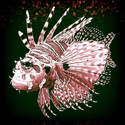 Variation 3