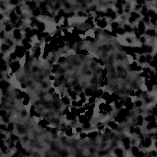 Bump Map