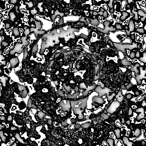Reflective Occlusion Map