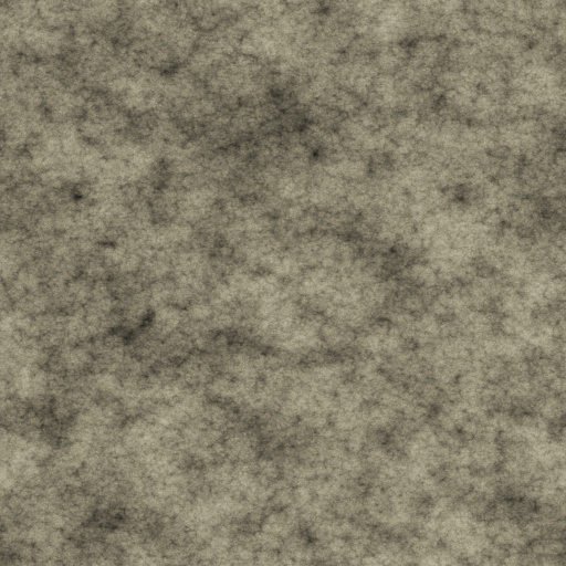 Diffuse Map