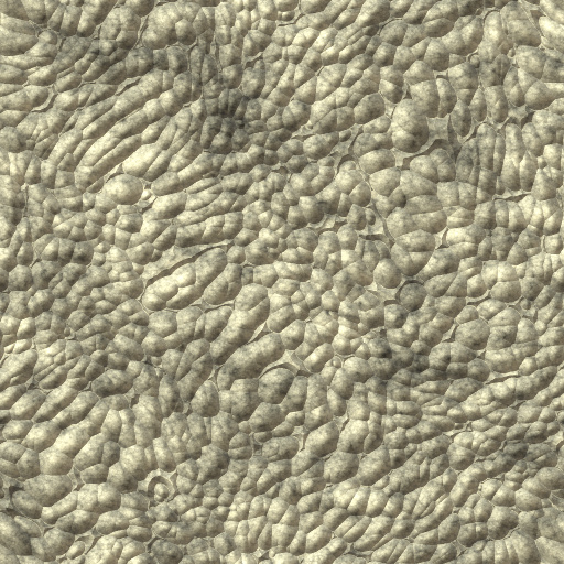 Variation 5
