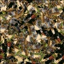 TextureSynth