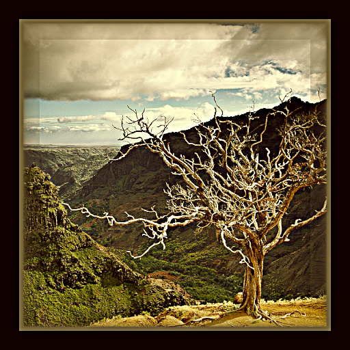 Variation 1