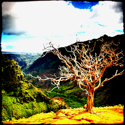 fantastic photo (Effect)