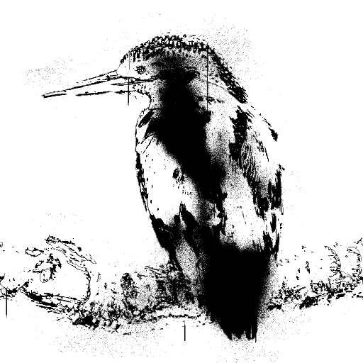 Variation 8