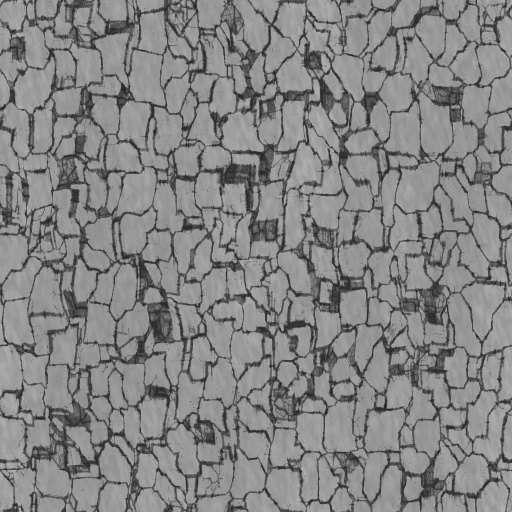 Bump Map