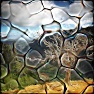 Organic glass