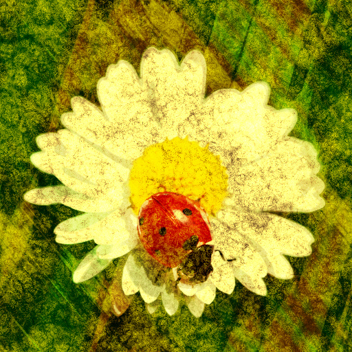 Variation 5