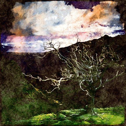 Variation 7