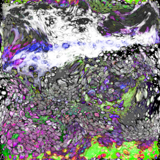 Variation 8