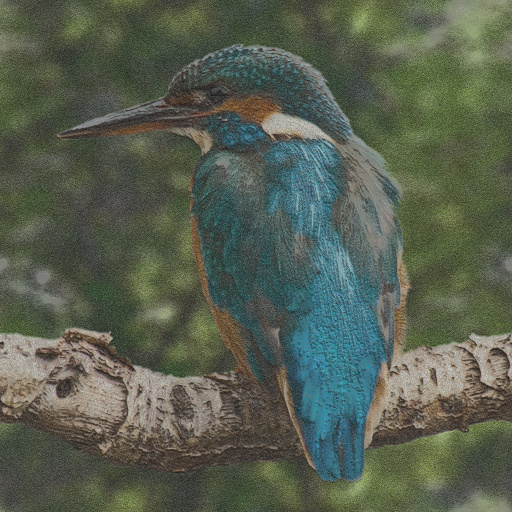 Variation 8