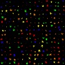 Eric's Random Stars