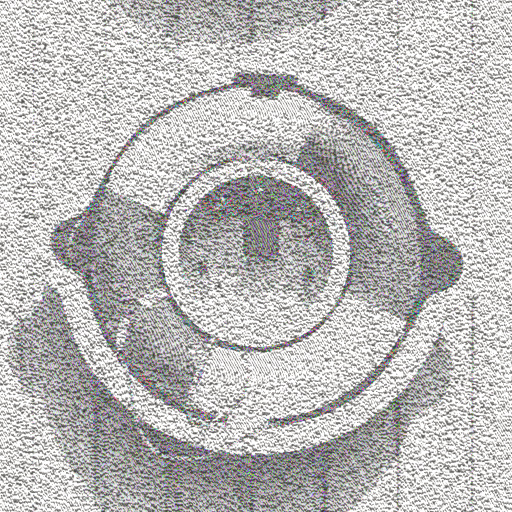 Variation 4