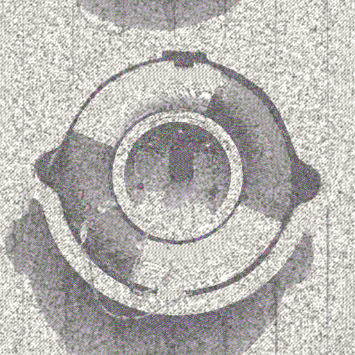 Variation 5