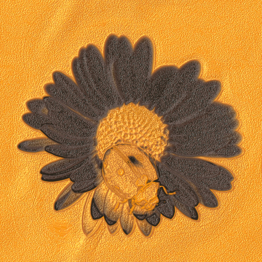 Variation 6
