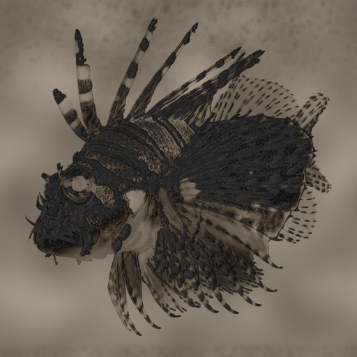 Variation 6