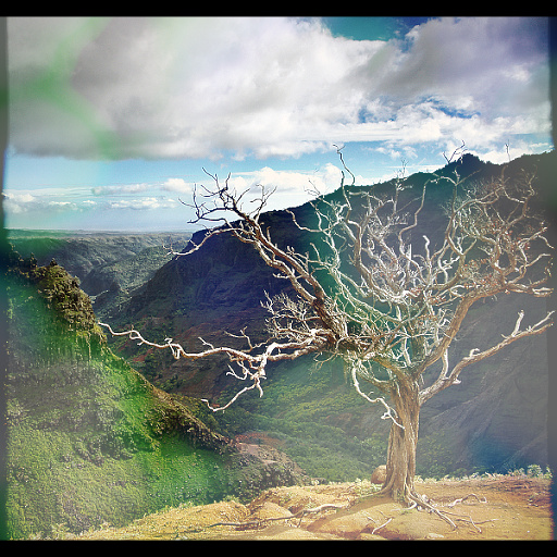 Variation 8