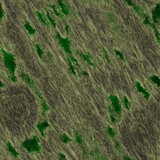 Variation 8