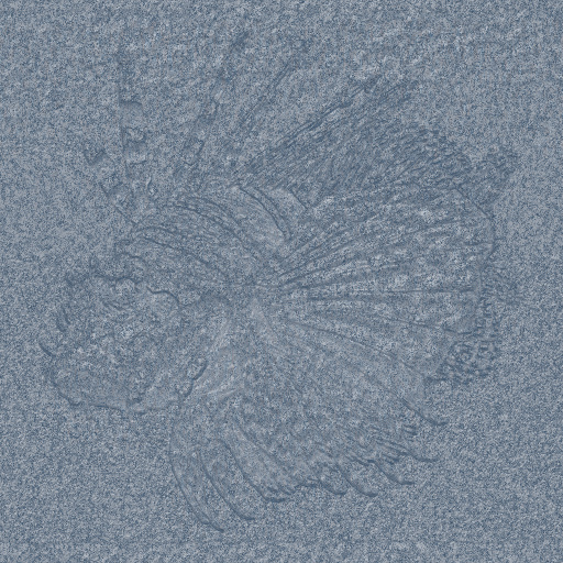 Variation 1