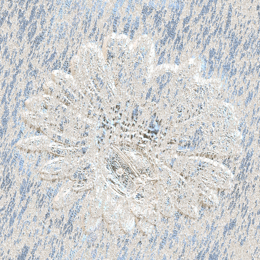 Variation 4