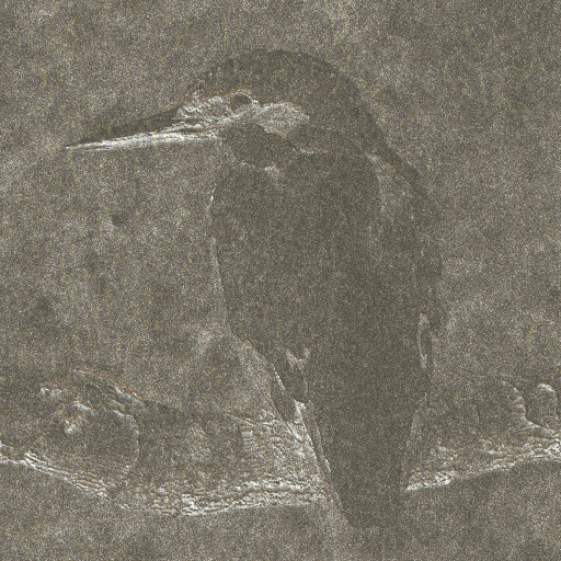 Variation 7