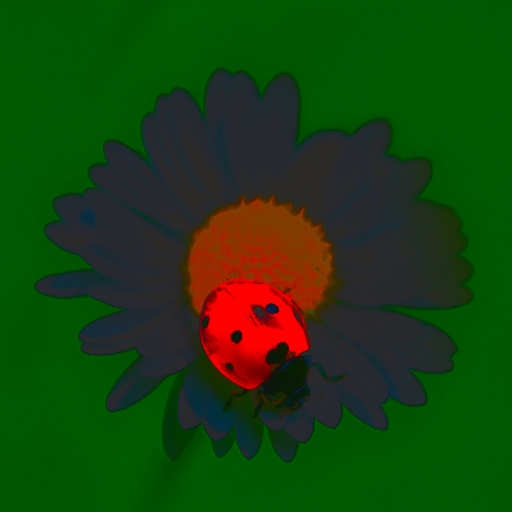 Variation 3