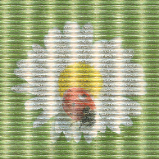 Variation 4