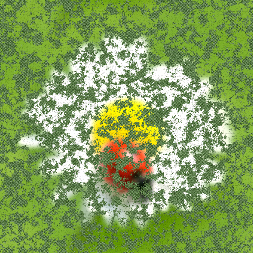 Variation 4