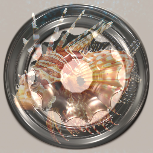 Variation 5