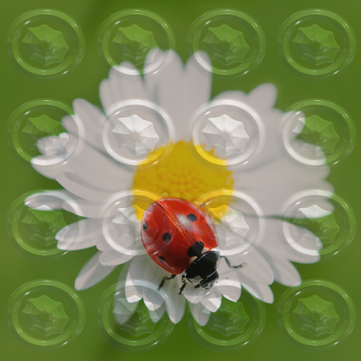 Variation 8