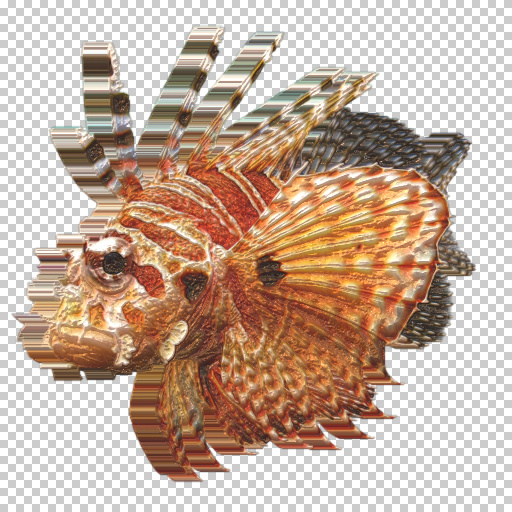 Variation 5