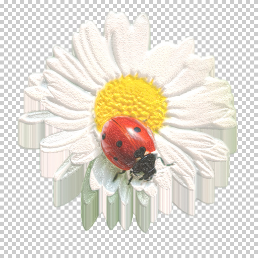 Variation 7