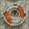 Tree Bark Image