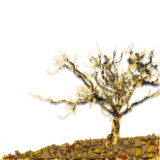 Variation 7